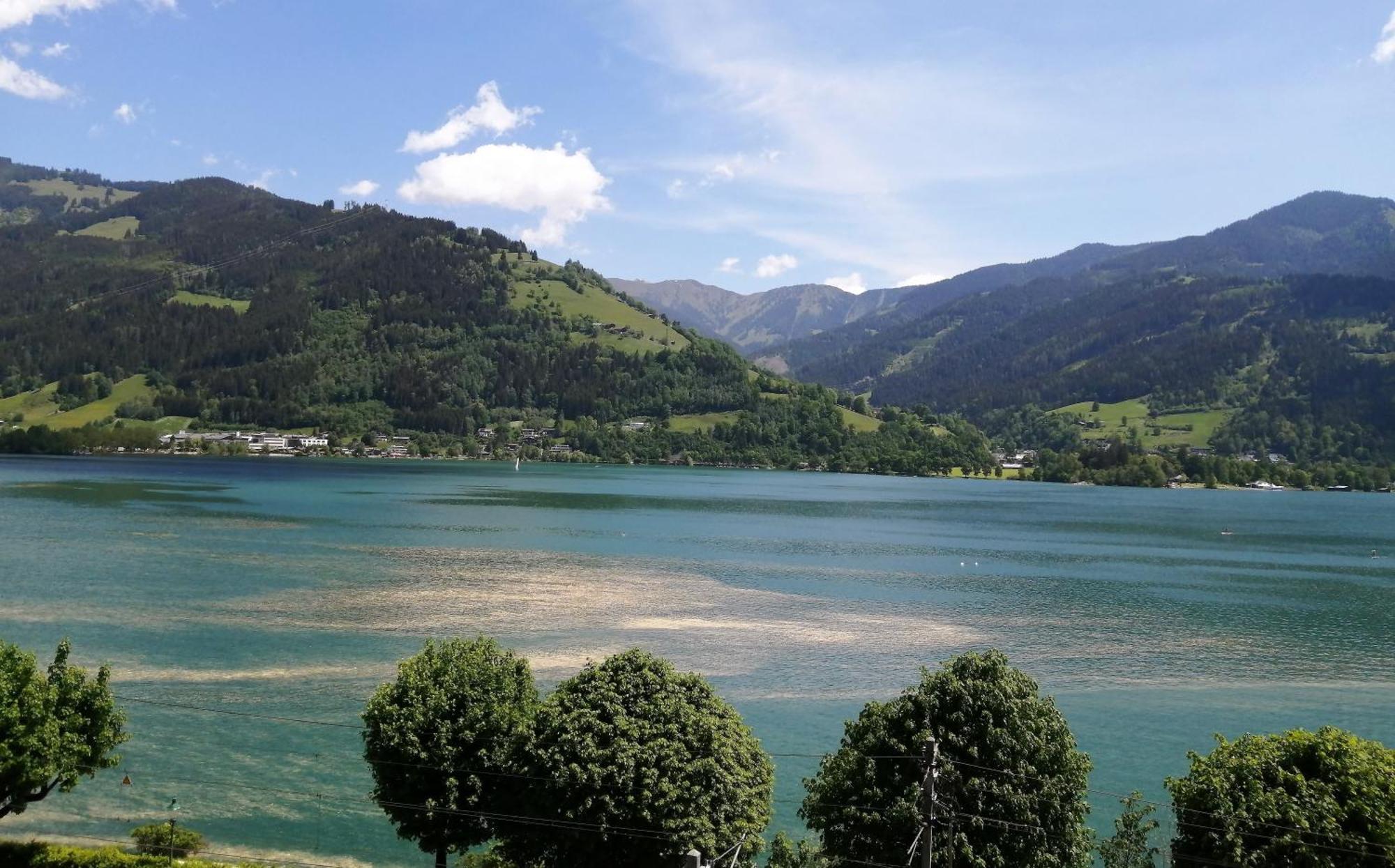 Haus Ditzer - Villa Theresia Zell am See Eksteriør bilde